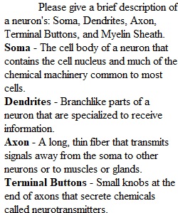 Chapter 3 Lesson Questions